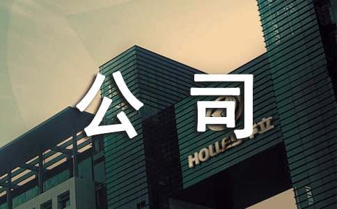 保险公司年度工作计划