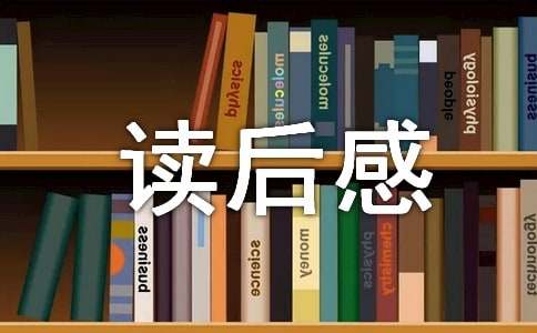 《堂吉诃德》读后感1000字