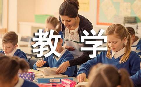 学期教学总结