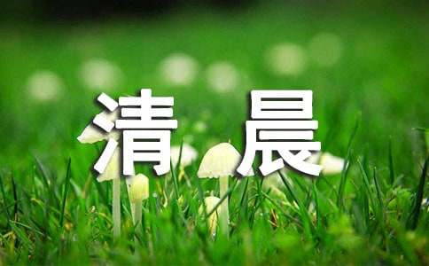 清晨的阳光唯美句子