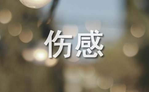 伤感扎心语录