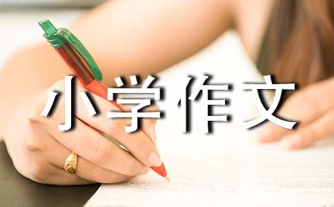 游莲花山小学作文
