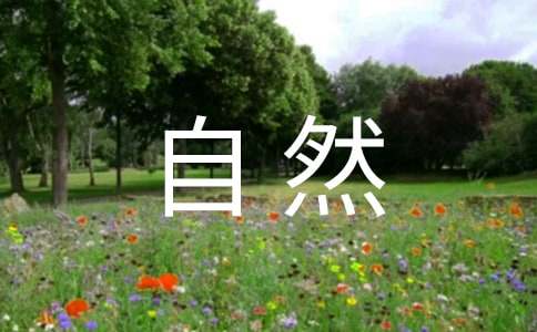 让真情自然流露六年级作文500字