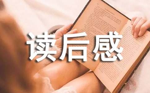小说《局外人》读后感