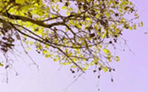 景色的初中作文