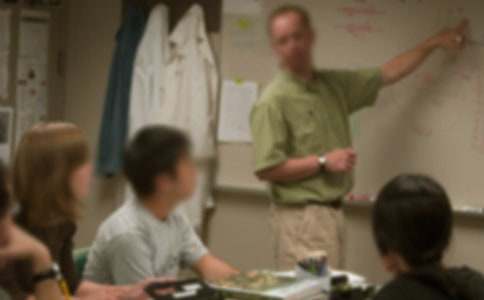 赞美老师的作文100字