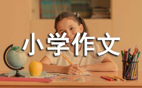 描写莲花的小学作文