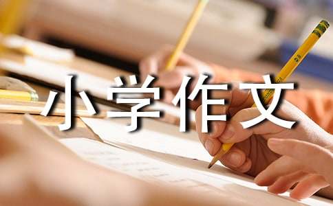 畅想未来小学作文